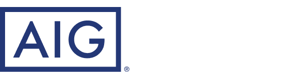 AIG Domestic Claims, Inc.